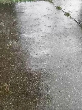 DA591199-679E-4BF7-8335-D9F95E79BBA4.mp4