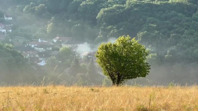 2666C686-34A4-4550-A651-9D3DAF8C4878.mp4