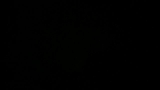 EAB4CA53-FD82-4A98-B021-64437312BC8E.mp4