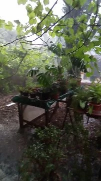 VID_20250727_065622.mp4