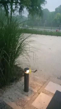 VID_20250727_070506.mp4