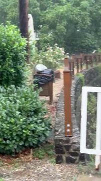 691DB0C4-1E8C-486D-8E57-40FAF3756912.mp4