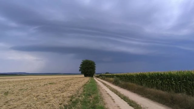 VID20250802193601.mp4