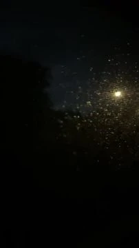 0B65ADBD-BDE8-4C86-8276-DD48FB4F79E3.mp4