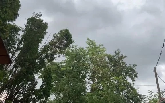 2901555B-ED3E-48AE-8251-83C1D419B7D1.mp4