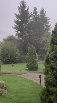 E0C18836-3077-48DF-8F30-8ED18C45A6A6.mp4