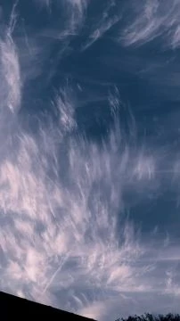 4801E169-97B9-4EB4-951B-46CEC5826E75.mp4