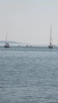 VID_20250809_090300.mp4