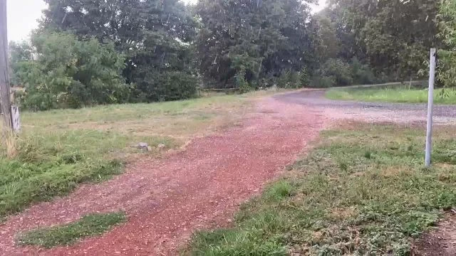 59E1BEBB-0E75-45E4-98AF-33AFF3AEE10C.mp4