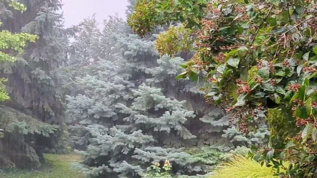 Polgárdi, VÉGRE! :))