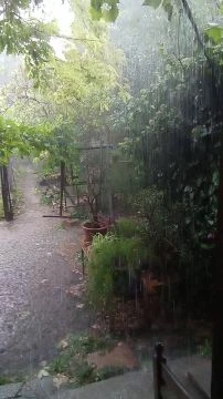 VID_20250830_131548.mp4