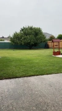 90EE4E92-250E-4D8B-A2A2-E0AA37CCDA29.mp4