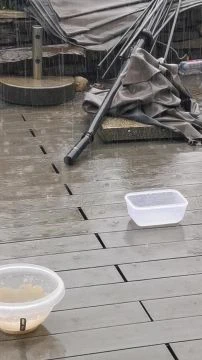 VID_20250830_152602.mp4