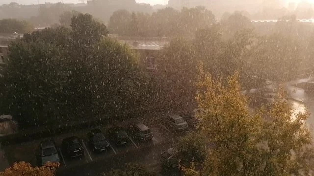 VID_20250831_183247.mp4