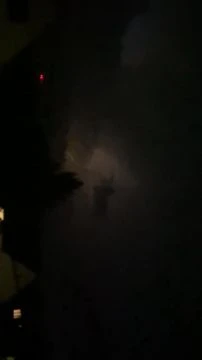 14FFAE32-17EA-4232-9B89-56E8A9999F98.mp4