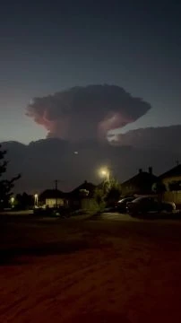 279CD077-2D87-4ECD-BD4F-38034FA4C3B8.mp4