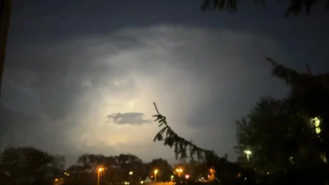 B66DAA49-86E4-4B39-81AA-A42A2B04F8F4.mp4