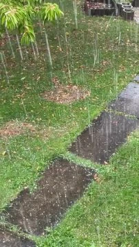 E15D6725-4A2E-45CA-A368-2D4FAEC5D9EA.mp4