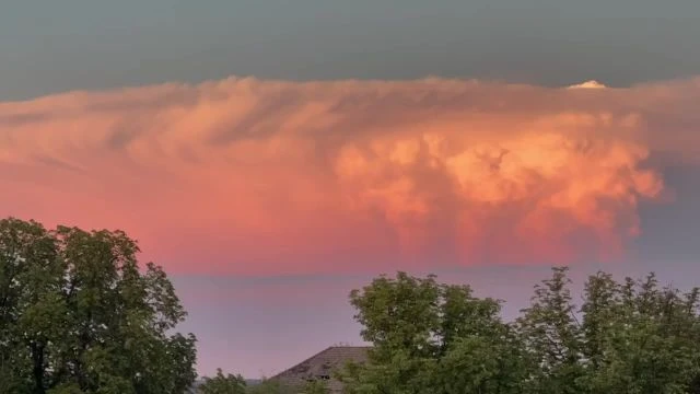 684780FB-38DB-481A-9C61-CE2079812148.mp4