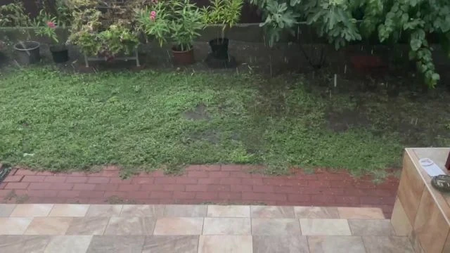 8B311866-B9CC-4A31-9FCE-80C8D280A6E5.mp4