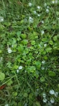 Tiszaörvény a reggeli jégeső után