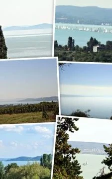 FBVID1445999110324393383.mp4