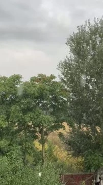 A7E04263-6A47-4DA8-B34A-517E861074F1.mp4