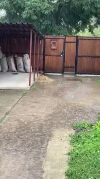 FFA606AD-93D8-471D-9993-33A62BC2384D.mp4