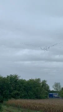 C89B7083-93E9-4519-8B7B-AF1B3407799F.mp4