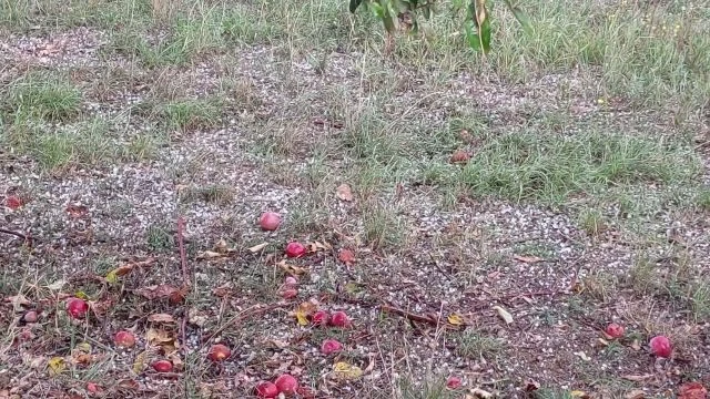 Jégesőt hozott október elseje Závodon