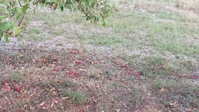 Potoyogott a jég Závodon