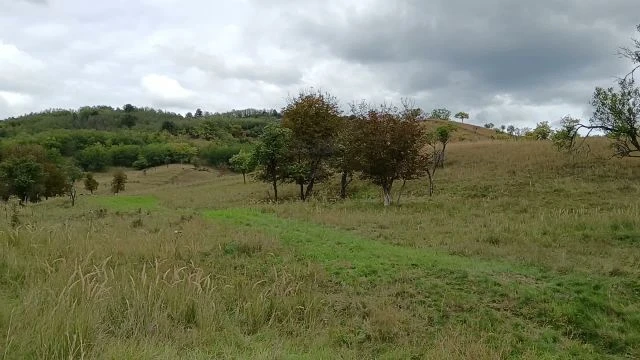 Botásza-völgy videón