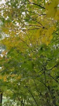 43C93E59-9F52-4B4F-8B95-C28D7E4AC1B3.mp4