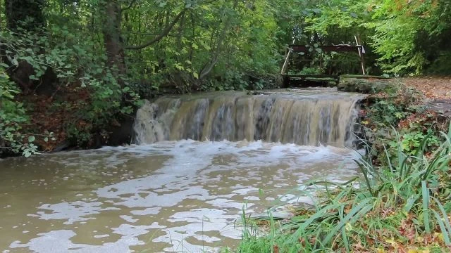 Őszi délután a Kámoni Arborétumban