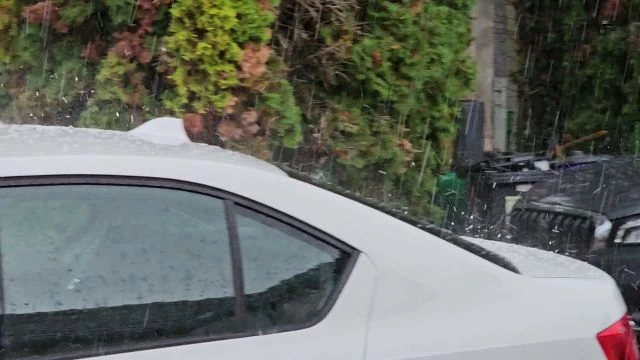 Nem kímélte a jég Tárkányt