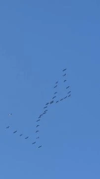 1FBF0848-5D29-4D5D-B3D6-D9DE168D24C0.mp4