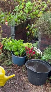 5C39BC3F-5517-4518-B20F-C4AC1CF507D2.mp4