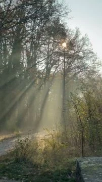 DF007450-37B4-4628-B7CB-9807FD124FE3.mp4