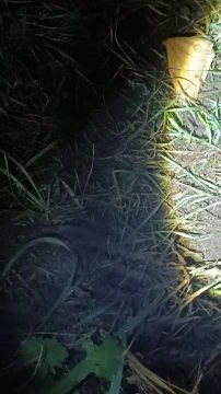 Ködszitálás ''élőben''