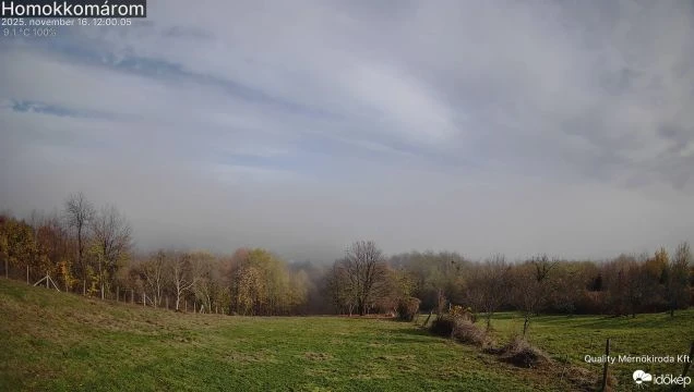 Homokkomáromban gyorsan tavasz lett az őszből