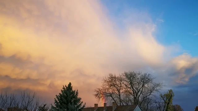 VID_20251117_155539.mp4