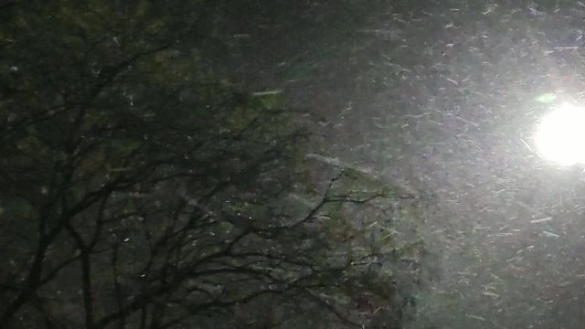 Hószállingózás erős széllel 11.21.