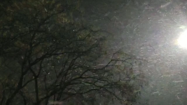 Hószállingózás erős széllel 11.21.