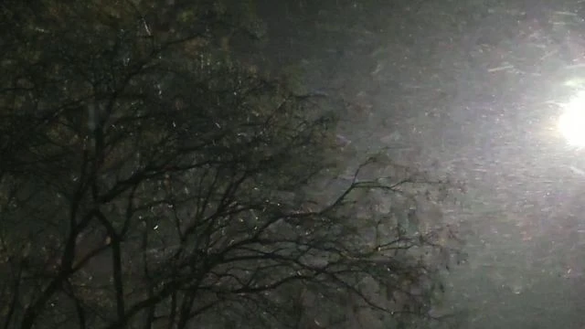 Hószállingózás erős széllel 11.21.