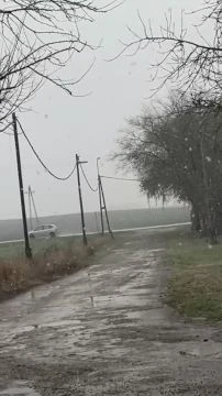 27434F48-6B11-49C1-90E8-B49EE38FA87D.mp4