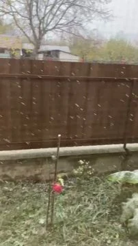 9689A4F2-5723-49AD-8D1D-E9B5ED740B82.mp4