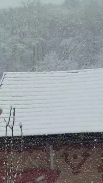 Nagy pelyhekben ömlik a hó Magyaregregyen
