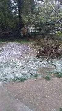 VID_20251122_152818.mp4