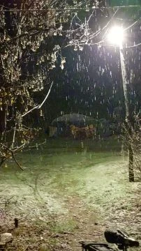 Ladánybenén is esik de nem maradt meg! :(