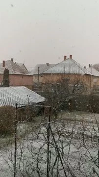 VID_20251124_135042.mp4